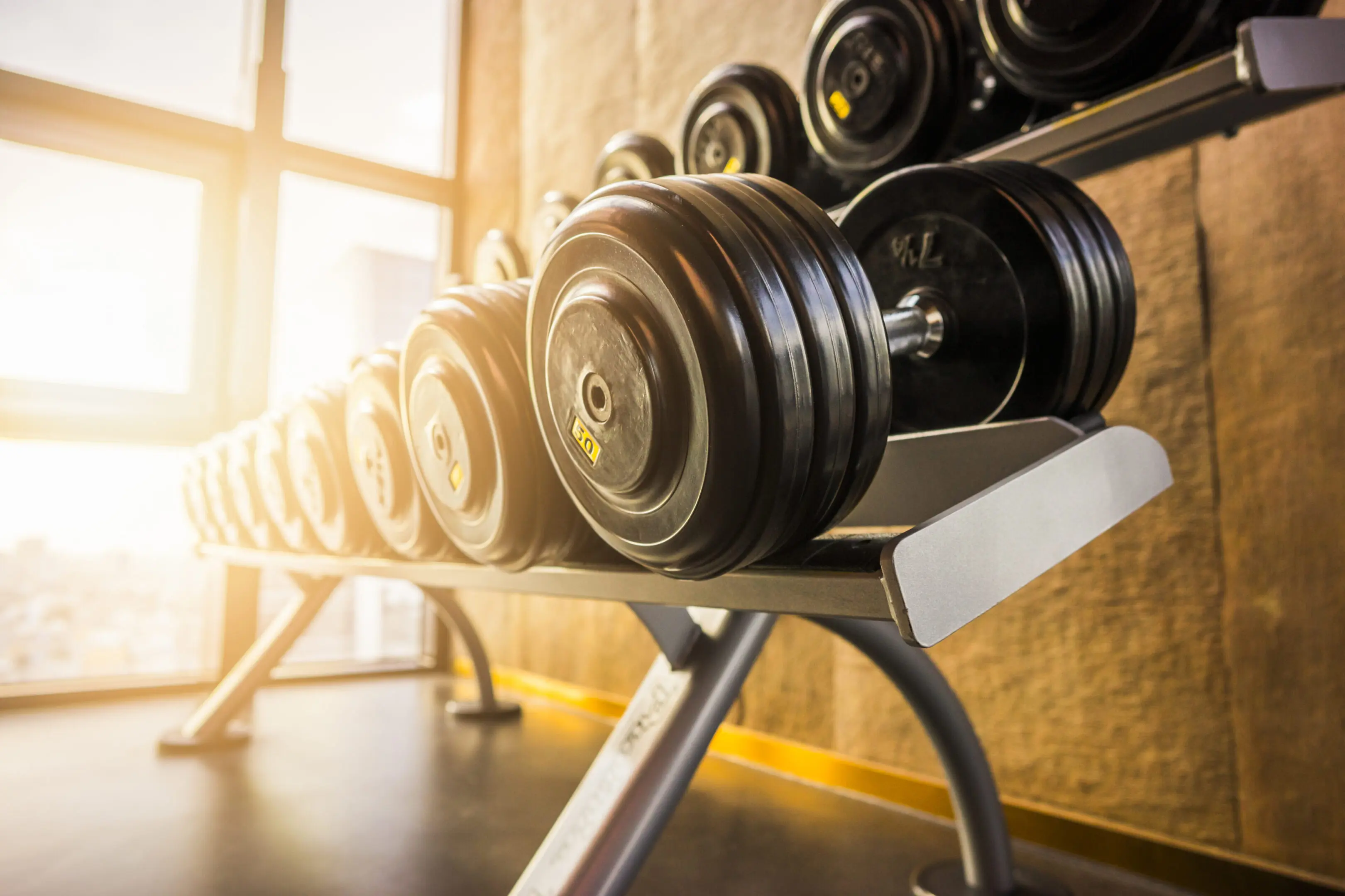 A row of black dumbbells is neatly arranged on a metal rack in a well-lit gym with large windows in the background.